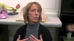 A Hybrid Approach to Human Anatomy