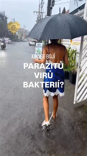 Milena Žampová | Beauty Guru on Instagram: "Já málem umřela v té špíně! Bojím se breberek!!!! 🦠 Paraziti – skrytý problém, o kterém se málo mluví. Paraziti se do těla dostávají nenápadně – nejčastěji jídlem. Ve střevech pak můžou dlouho přežívat a způsobovat únavu, nadýmání, křeče, průjmy, vyrážky, svědění kůže nebo i oslabenou imunitu ✅ Pro Intest od Tisso @mitolife_cz MIL10 je doplněk, který pomáhá vytvářet prostředí, v němž se parazitům a patogenním bakteriím nedaří. Obsahuje kombinaci probi