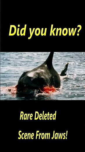 Scene Cut From Movie Jaws #Jaws #movie #cutscene