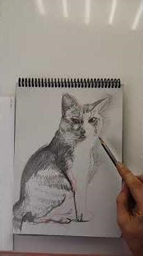 "Realistic Cat Drawing Timelapse | Pencil Sketch Process 🐱✏️"#CatDrawing #PencilArt #Cat #Art #1k