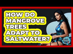 How Do Mangrove Trees Adapt To Saltwater?