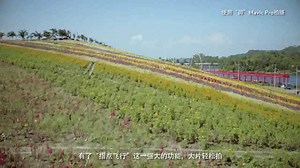 Mavic pro 系列教学视频 - 指点飞行