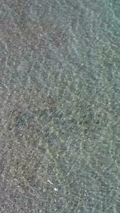 28 reactions | Stalking big schools of Bonefish in Key West! : Local Knowledge S9:E7 “Sight Fishing Barracudas & Bonefish” is Available on YouTube, Waypoint TV & Streaming apps #barracudas #bonefish #flatsfishing #oceansedgeresortandmarina | Local Knowledge | Facebook