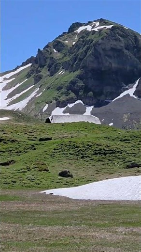 Melchsee #schweiz #urlaub #alpen
