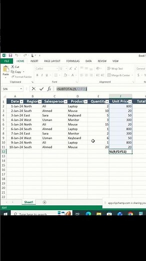 Excel SUBTOTAL Formula When Using Filters