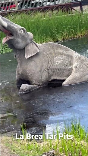 The La Brea tar pits in Los Angeles