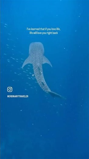 Inside The Maldives’ Most Romantic Private Islands