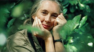 370 reactions · 29 comments | Adventure into the life of Dr. Jane Goodall in the limited-time exhibition Becoming Jane: The Evolution of Jane Goodall. Organized and presented by National Geographic Museum and the Jane Goodall Institute. Photo by Vanne Goodall, National Geographic | Field Museum | Facebook