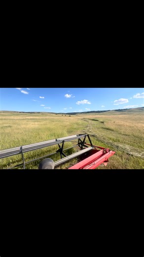 Historic Reesor Ranch on Instagram: "Cutting timothy and brome grass for the horses this winter with our brand new 1984 Versatile 400 swather. I look forward to this every year—being out in the field, sun on my face, and that open cab view is second to none. This hay will feed the horses all winter, and it’s one of the most rewarding parts of life up here in the hills. 🌱🚜"