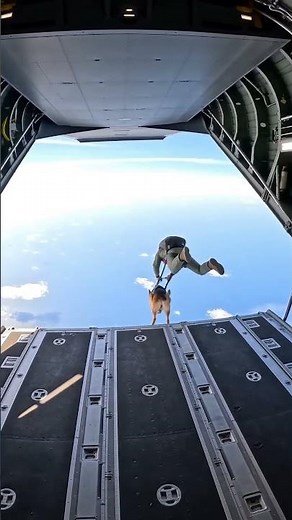 Military K9 Skydives from C 130 Hercules – Rare Freefall Footage Over Ocean