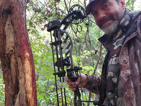 SEARCH 4 A GIANT IN OHIO HILL COUNTRY
