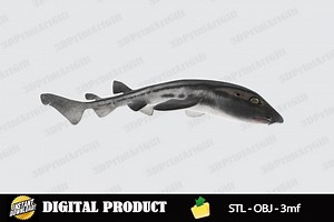Pyjama Shark 3D Model Digital Files, STL OBJ 3mf Formats, Ready to Print Ocean Animal Figure for 3D Printing - Instant Download - Etsy Australia