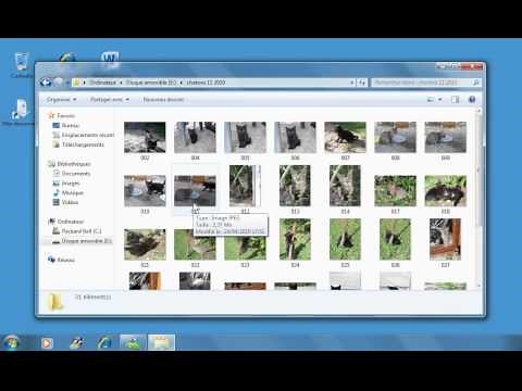 Comment transférer une copie du dossier de photos sur la clé USB sous Windows7.www.formenligne.org