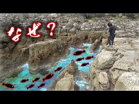 I was able to catch an endless amount of high-quality fish in a place like this!