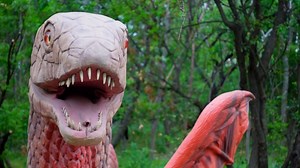 Fantasy invades the familiar: What to expect at the San Antonio Zoo's new Dragon Forest