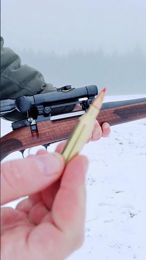 CZ 557 American Custom rifle - Hand engraved - 243 win