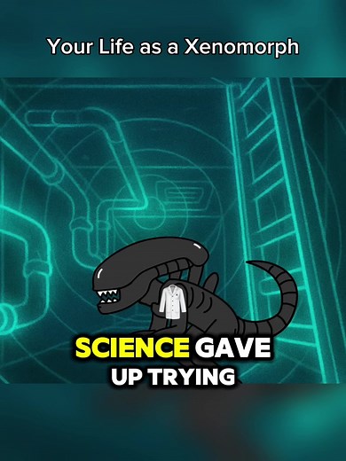 Exploring the Life Cycle of Xenomorphs