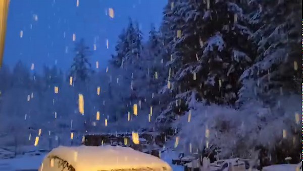 7.3K views · 238 reactions | Heavy wet snow falling with a convergence zone that has set up from Arlington to Whidbey Island! I just woke up on north Whidbey with 2 fresh inches of snow which I did not expect at all! March is starting off with some crazy weather. If you have any pictures/footage of the snow out there, then please share in the comment section below! -Jonathan P. | Washington Weather Chasers | Facebook