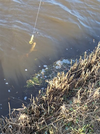 Essential Techniques for Pike Fishing with Savage Gear