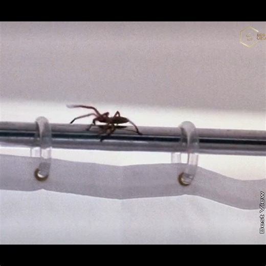 . [Warning] Pure sci-fi madness — Watch till the end 🚀 #SciFiScene #MovieMagic #CineLovers #SpaceAdventure | Latest Drone with Dual Camera 6K UHD