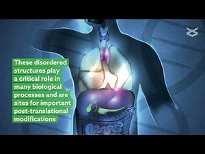 A code within the genetic code: codon usage regulates co-translational protein folding