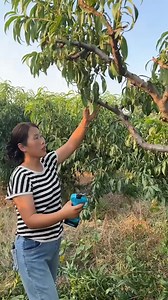 69K views · 188 reactions | Very convenient for plant care | Amazing Reviews | Facebook