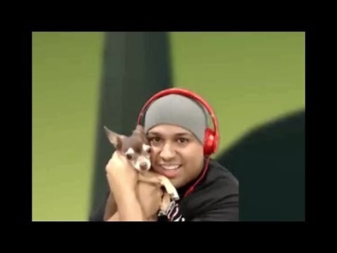 Dashie and BB on LiveStream