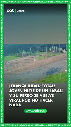 ¡Tranquilidad total! Joven huye de un jabalí y su perro se vuelve viral por no hacer nada 🐗🐾