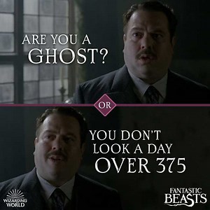 12K views · 384 reactions | When your birthday rolls around, do you greet it with jubilance or wish it away? | Fantastic Beasts | Facebook