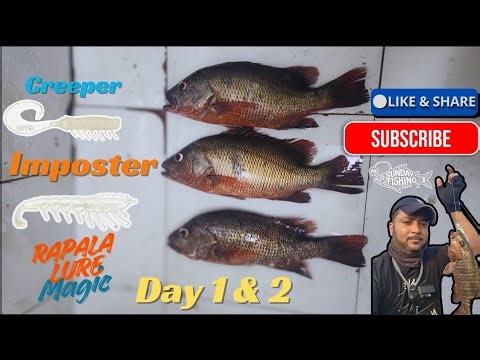 Fishing in My Favorite Spot 🎣 Rapala Lure magic 🎣 Mumbai Rock Fishing 🌊 | Snapper & Grouper Catch