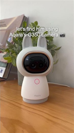 Finding Pooh Bear with the Aqara G350 Camera