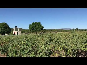 FARM Haiti 2020 Update