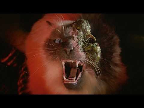 MPC - Photorealistic Animal Demo Reel 2026