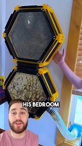He 3D-Printed A Beehive In His Bedroom! | Davidjustinn
