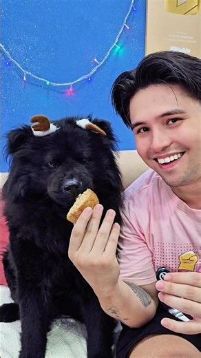 O VIDEO ACABA QUANDO ELA GOSTAR DE ALGUMA COISA - EP:6 🐶💜 #comida #funny #shorts