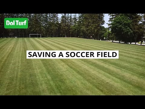 Saving a Soccer Field (Dol Turf)