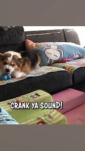 666K views · 20K reactions | Me good ol' commentary on the internet overall  #web #debate #issues #politics #ozzymanreviews | Ozzy Man Reviews | Facebook