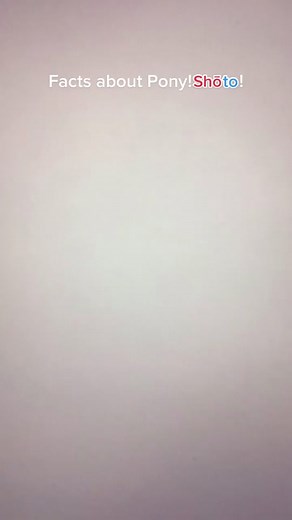 Fun Facts about Pony!MHA Shōto Todoroki