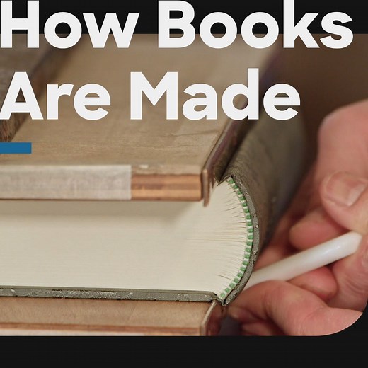 1.7M views · 18K reactions | This is a great story, if we do say so ourselves.  | Discovery Channel UK | Facebook