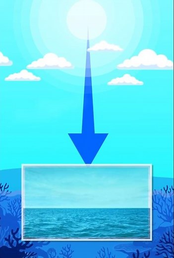 Why Is The Ocean Naturally Blue?🌊🪸#science #oceanfacts #whyistheoceanblue #lightabsorption #science