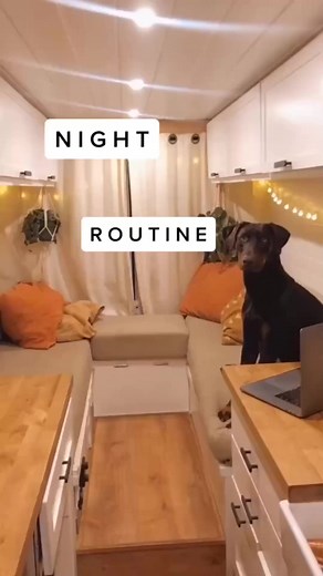 120K views · 1.4K reactions | Part of our night routine in the van! #vanlife #nightroutine #homeonwheels #tinyhome #mycrib #vanlife #van #vanbuild #travel #roadtrip #campervan #adventure #vanlifediaries #vancar #vanlifers #vanconversion #explore #california #vanlifemovement #dreams #camping | Nate & Courtnie | Facebook