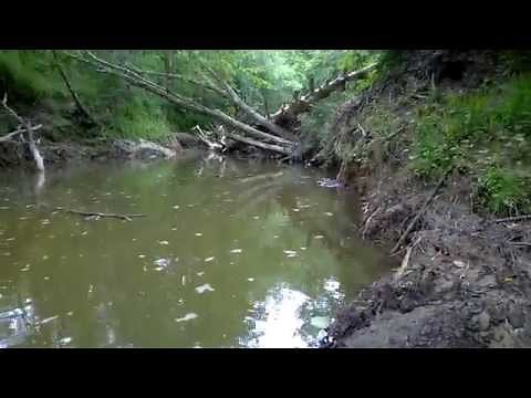 Arrowhead Hunting:Creek Digging and Sifting