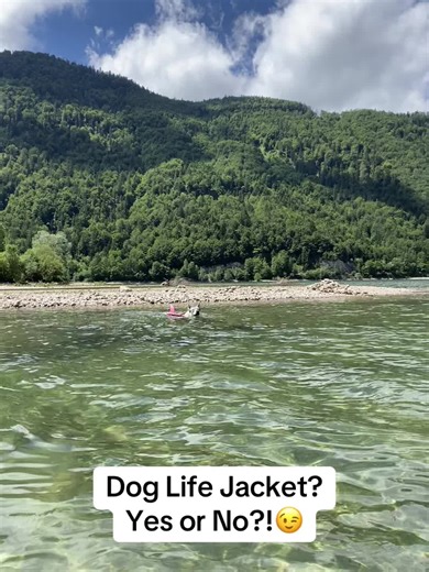 Dog Life Jacket – Yes or No? 🐶💦 Summer is here, and many of us are heading to the lake, river, or beach with our four-legged friends. But… does your dog really need a life jacket? Let’s break it down 👇 ✅ PROS – Why a Life Jacket Makes Sense 🦺 Safety first – even strong swimmers can get tired, panic, or struggle in currents 🌊 Unexpected situations – waves, boats, or long swims can be dangerous 🐾 Great for older dogs, small breeds, or dogs with health issues 🚤 More confidence for dogs new t