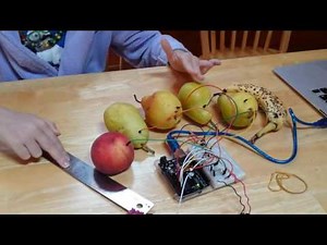 Arduino Fruit Piano
