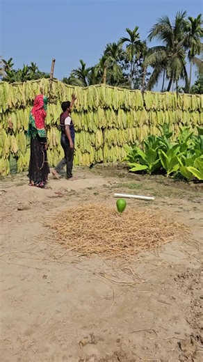 Village fun (@villagefun21)’s videos with original sound - Village fun