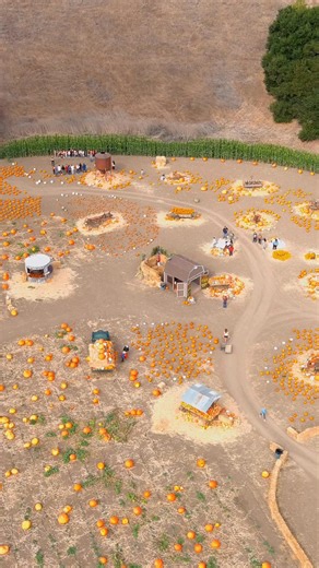 🎃 This October, Solvang transforms into a spooktacular destination. Dare to explore haunted houses & ghost tours, or play it sweet at pumpkin patches. Plan your stay and join the thrilling fun! 👻 | Visit Solvang USA