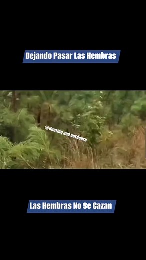 638K views · 4.3K reactions | La Adrenalina Al  #hunting #deer #outdoors #reelsviralシ #caza | Hunting and outdoors | Facebook