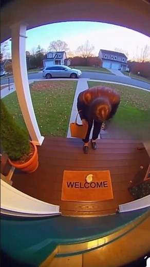 Girl Approaches Chicken… and It EXPLODES! 💥🐣😂