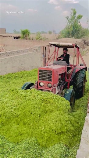 Silage Making Process