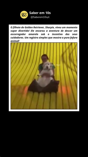 A primeira vez do Sharpie no escorregador #curiosidades